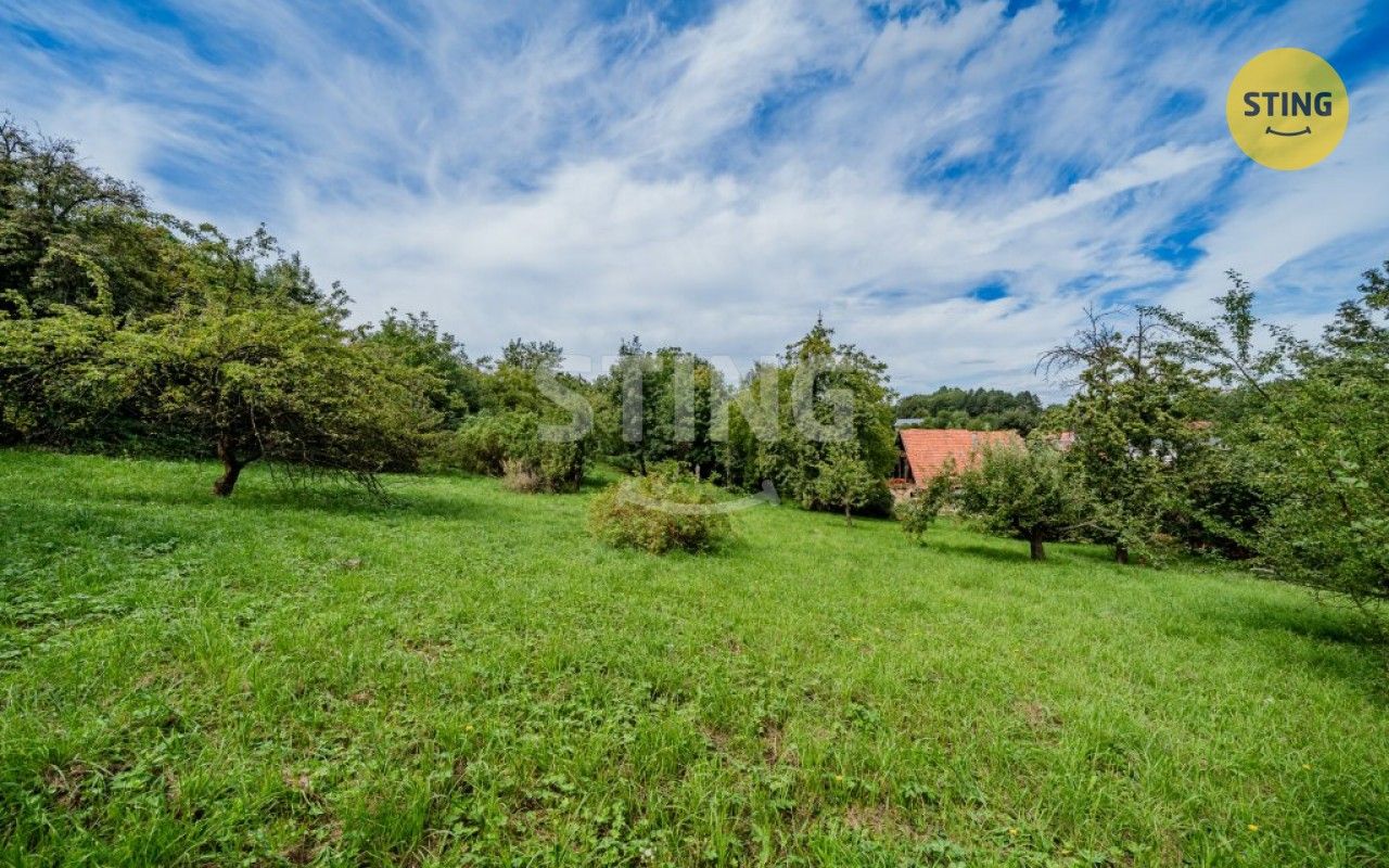 Prodej pozemku 6183 m² - foto 3