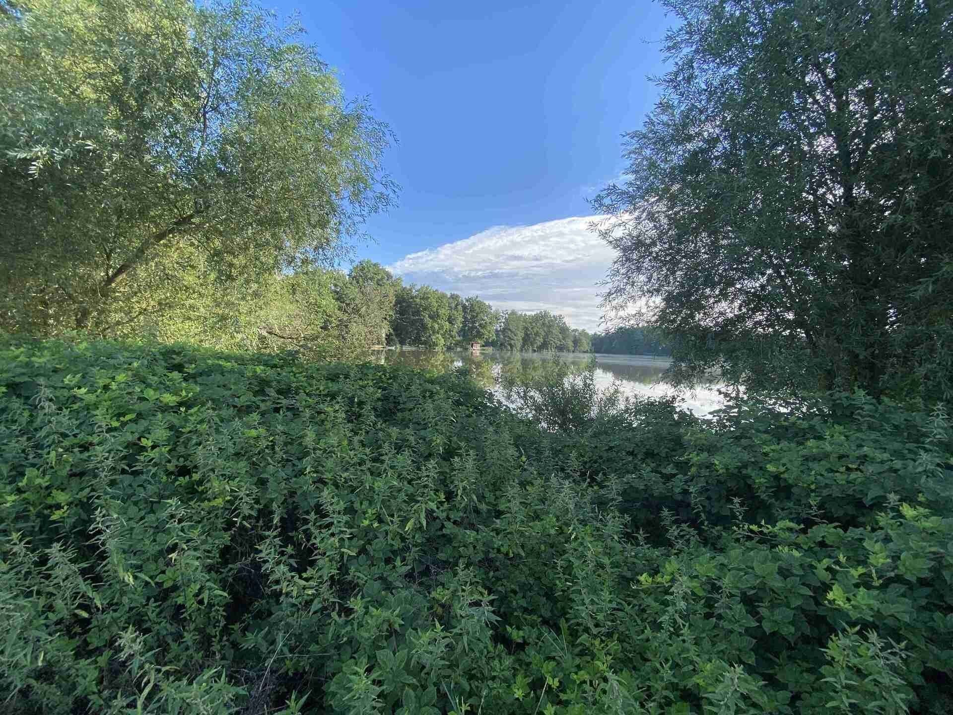 Prodej nemovitosti 1447 m² - foto 3