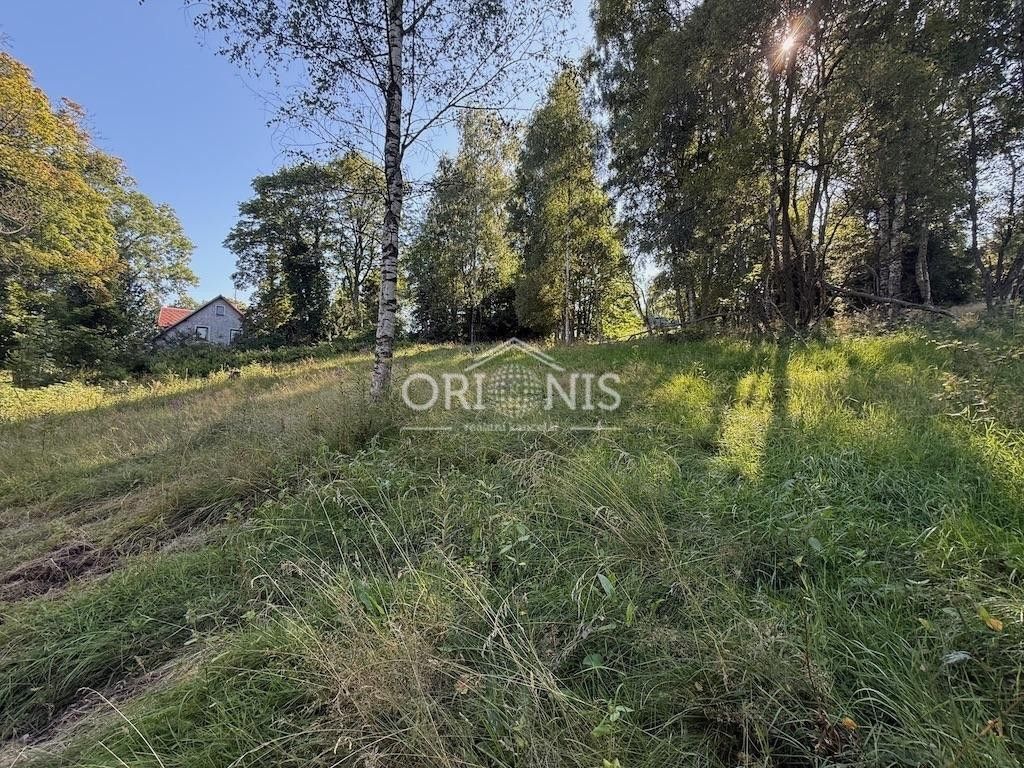 Prodej pozemku 800 m² - foto 5