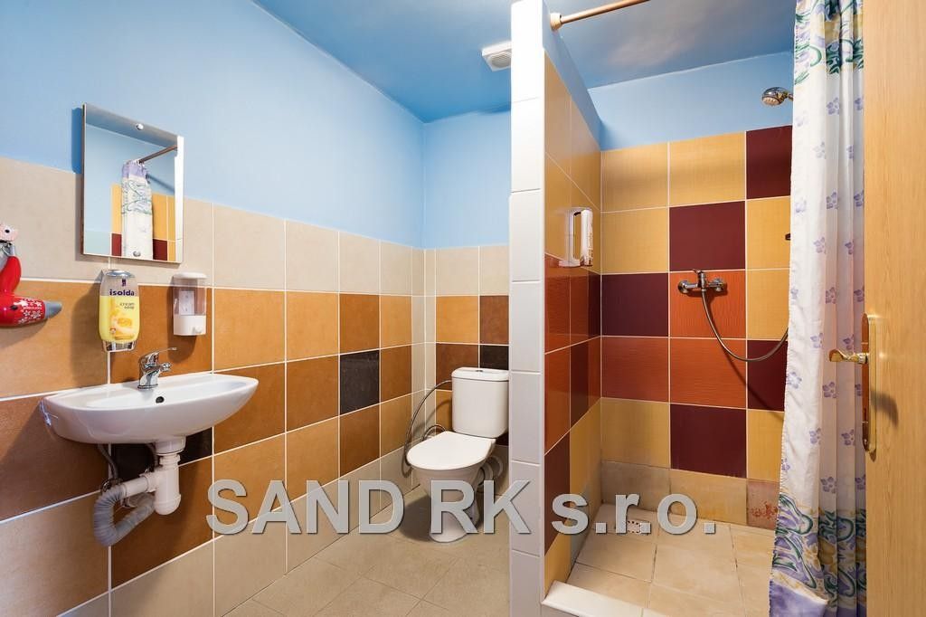 Pronájem nemovitosti 1000 m² - foto 25