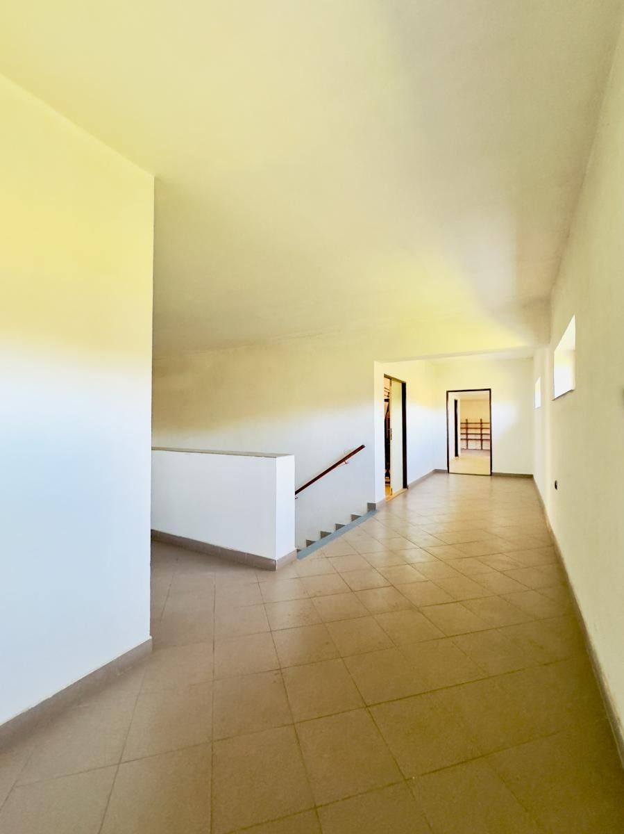 Pronájem komerčního prostoru 250 m² - foto 8