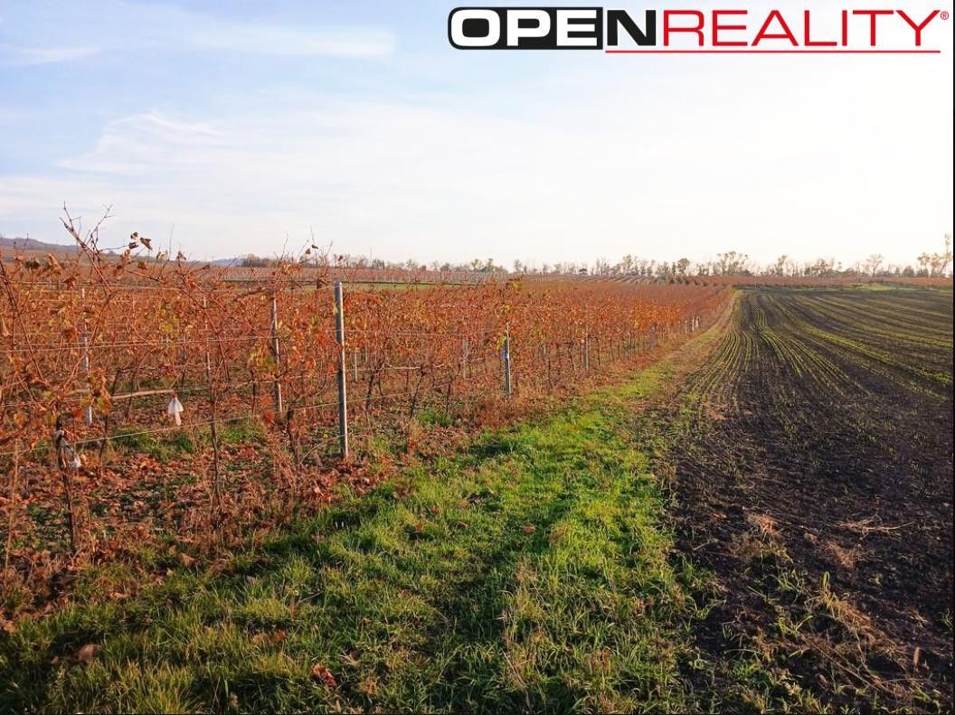 Prodej nemovitosti 10519 m² - foto 5