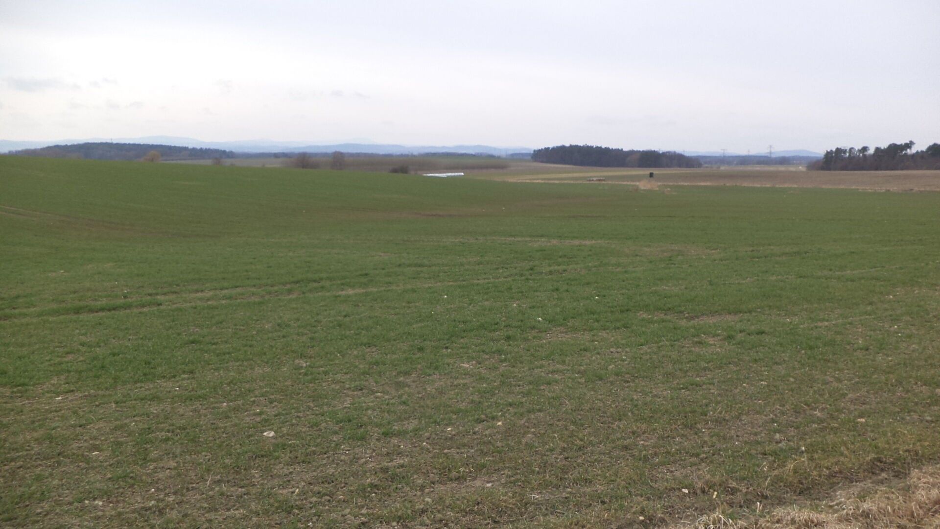 Prodej pozemku 2330 m² - foto 2