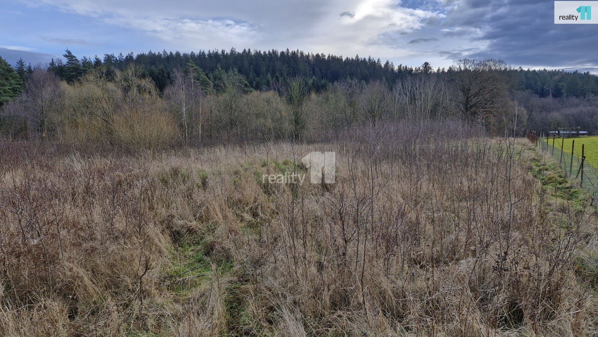 Prodej pozemku 2983 m² - foto 1