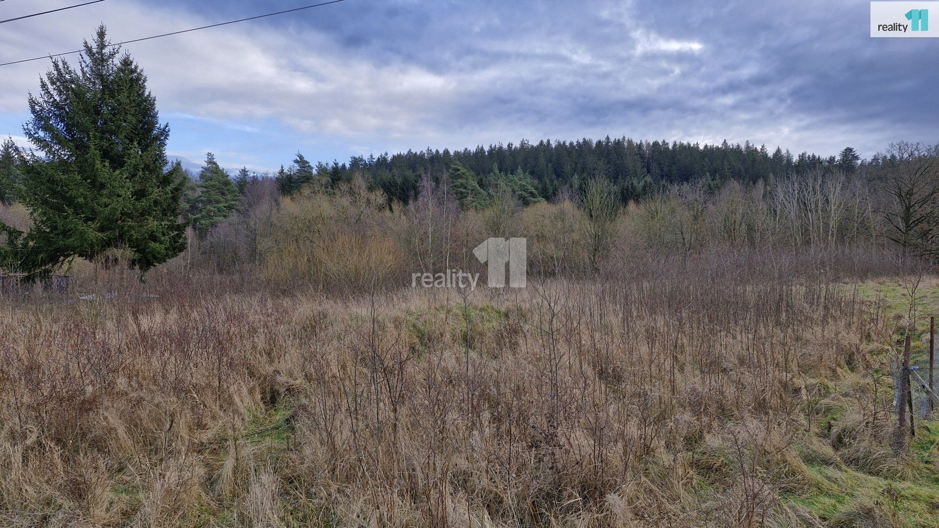 Prodej pozemku 2983 m² - foto 11
