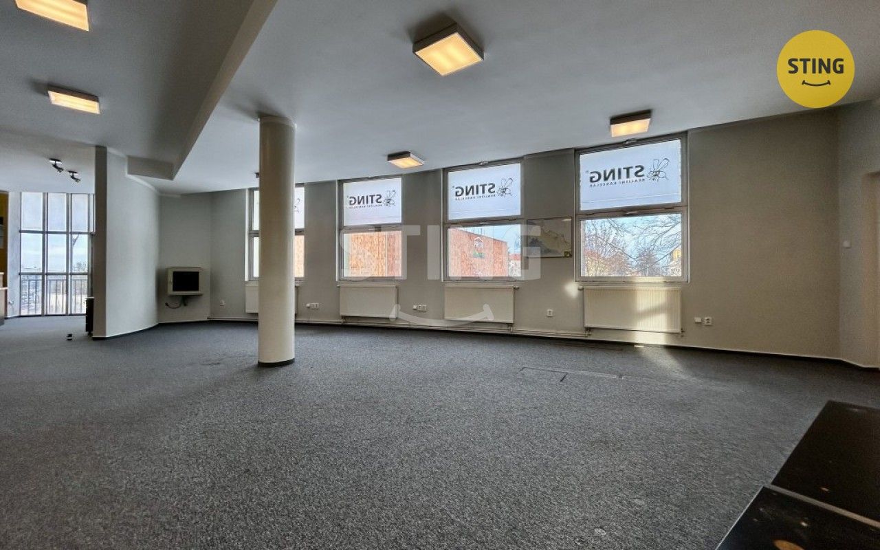 Pronájem komerčního prostoru 830 m² - foto 10