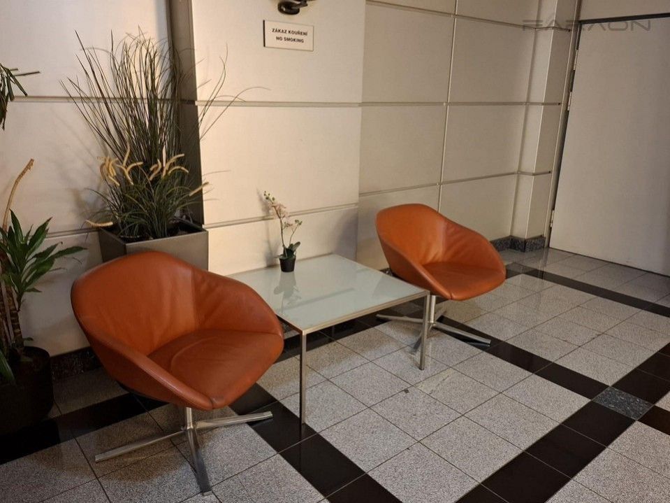 Pronájem komerčního prostoru 376 m² - foto 3