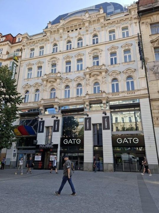 Pronájem komerčního prostoru 376 m² - foto 12