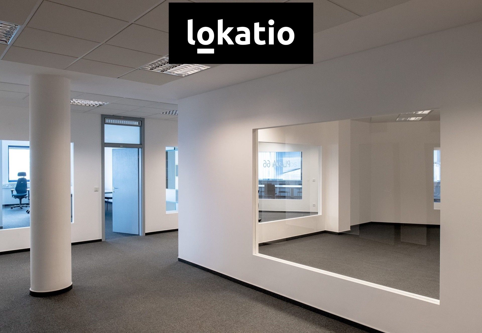 Pronájem komerčního prostoru 24000 m² - foto 5