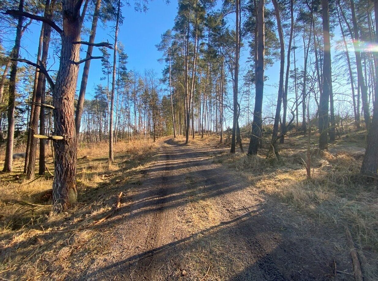 Prodej pozemku 3 m² - foto 4