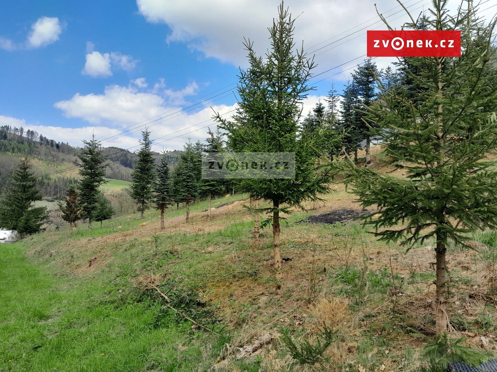 Prodej pozemku 1579 m² - foto 4