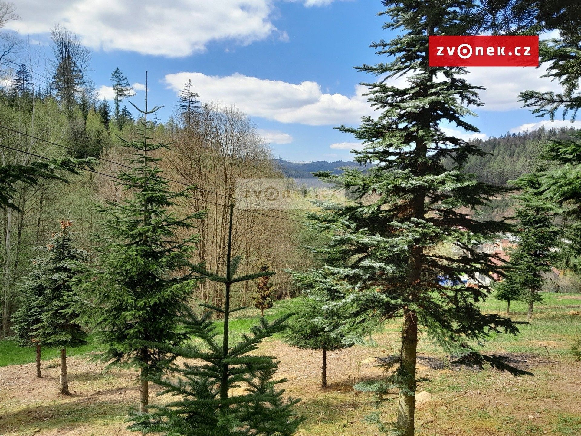 Prodej pozemku 1579 m² - foto 6