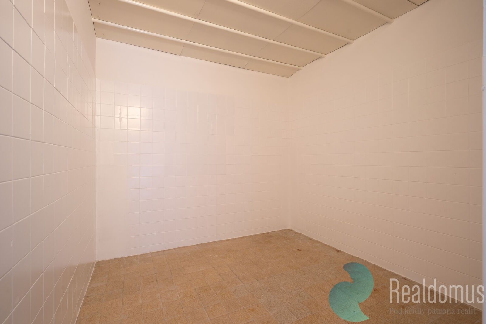 Prodej nemovitosti 512 m² - foto 9