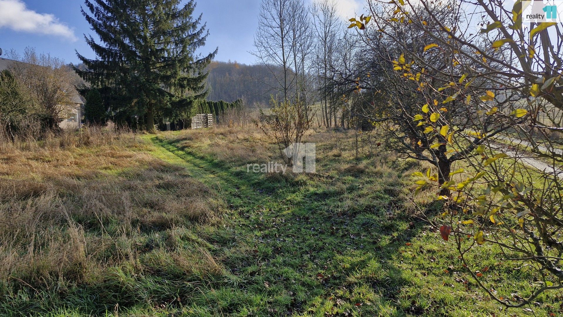 Prodej pozemku 1669 m² - foto 3