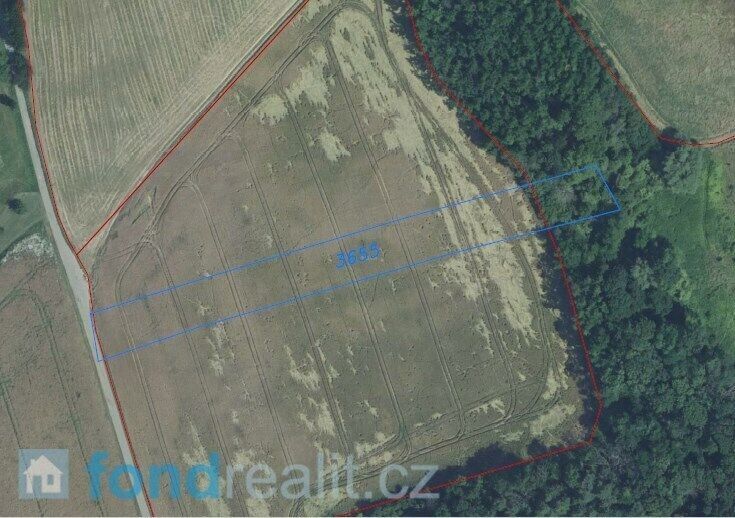 Prodej nemovitosti 3446 m² - foto 2