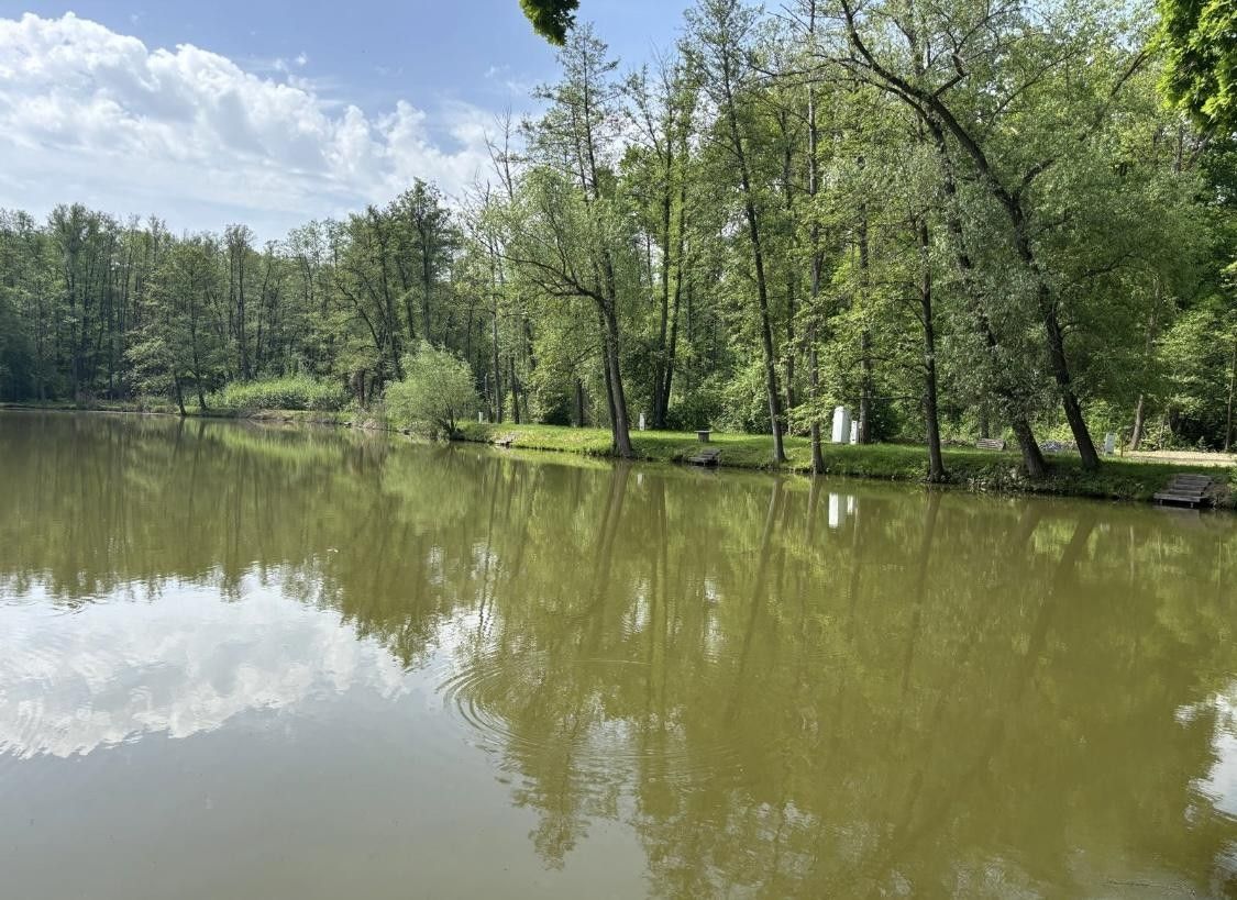 Prodej pozemku 21421 m² - foto 10