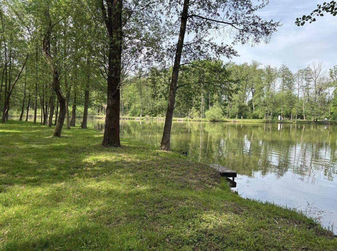 Prodej pozemku 21421 m² - foto 11