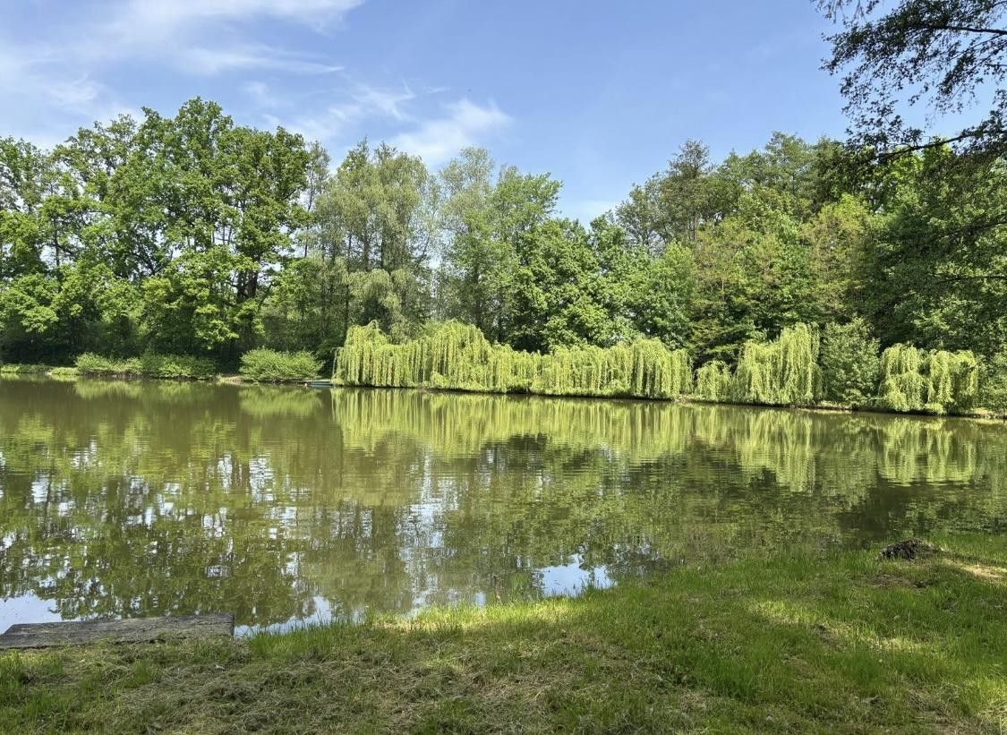 Prodej pozemku 21421 m² - foto 15