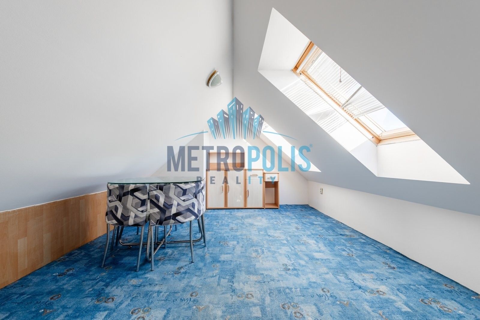 Prodej nemovitosti 350 m² - foto 24