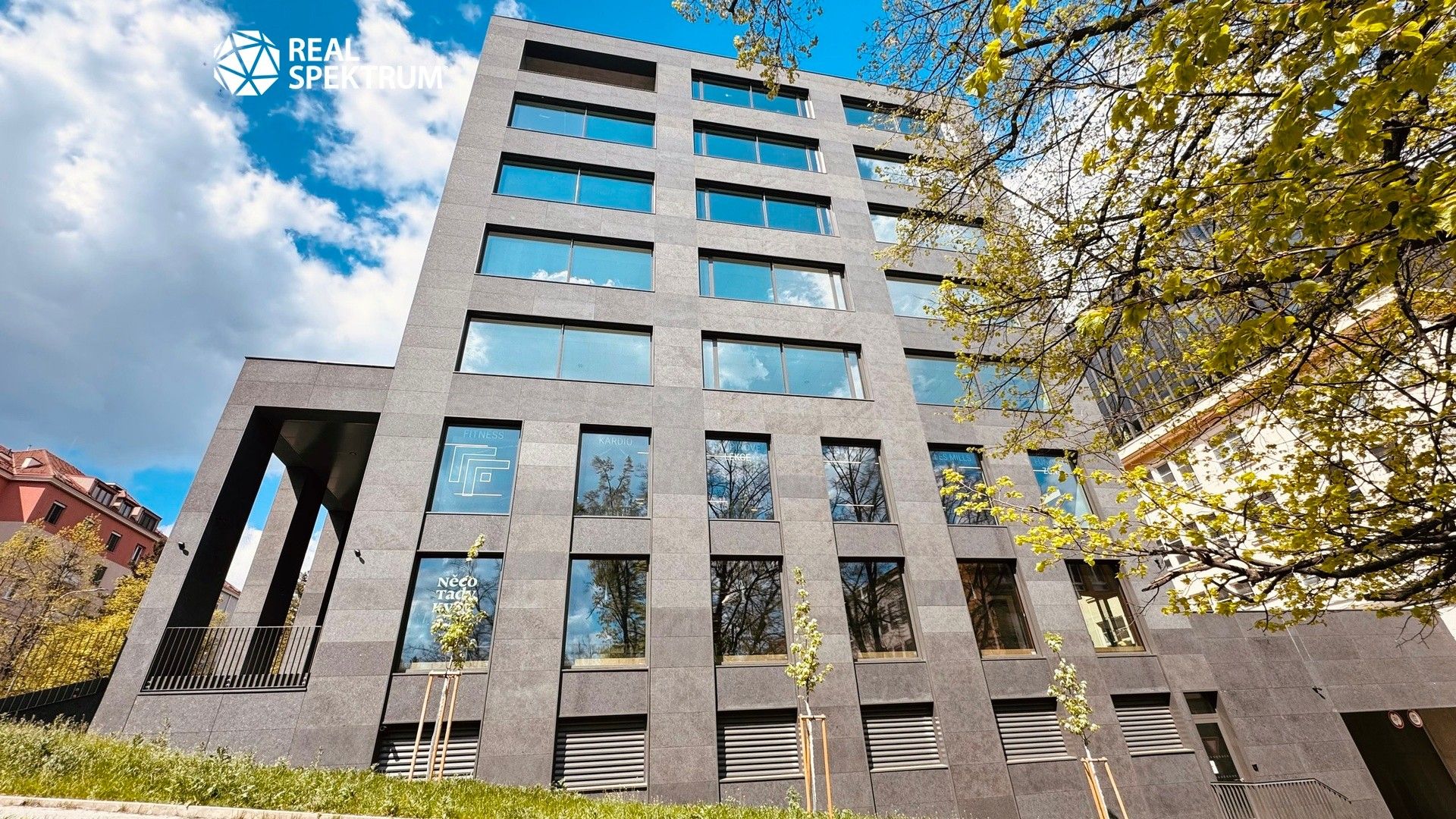Pronájem komerčního prostoru 613 m² - foto 3