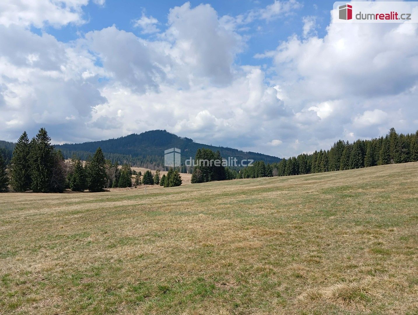 Prodej pozemku 1321 m² - foto 1