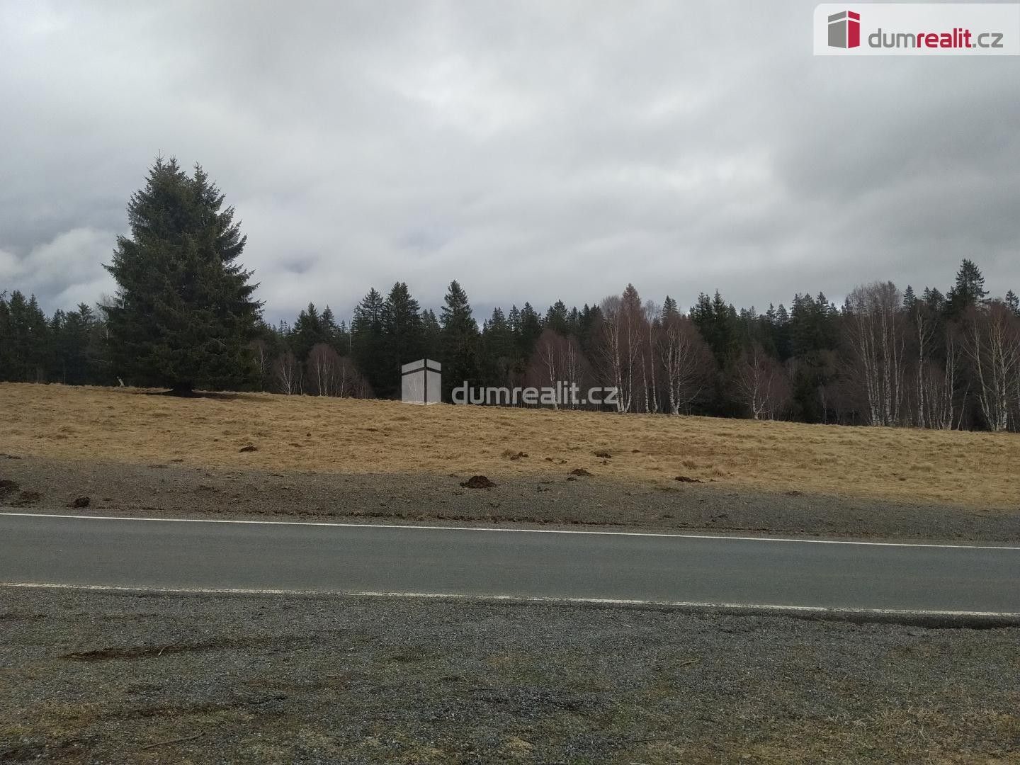 Prodej pozemku 1321 m² - foto 5