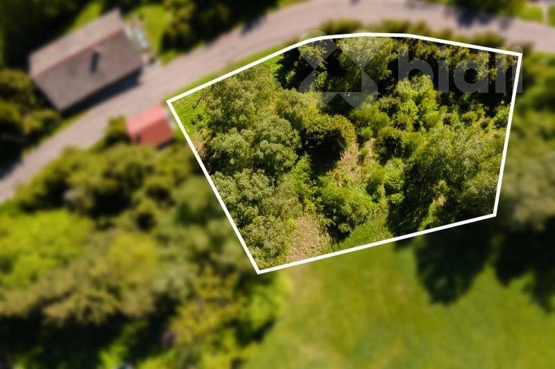 Prodej pozemku 3038 m² - foto 6