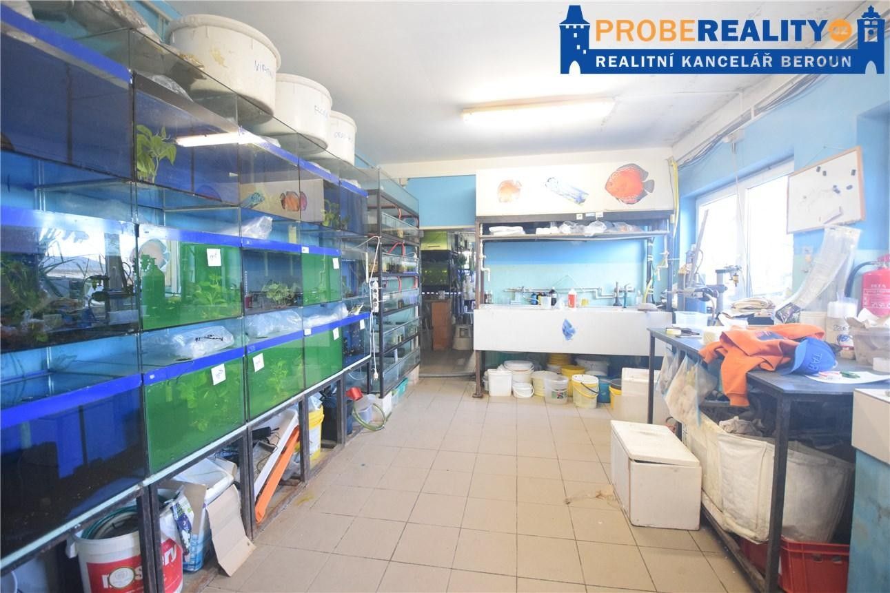 Pronájem komerčního prostoru 172 m² - foto 4