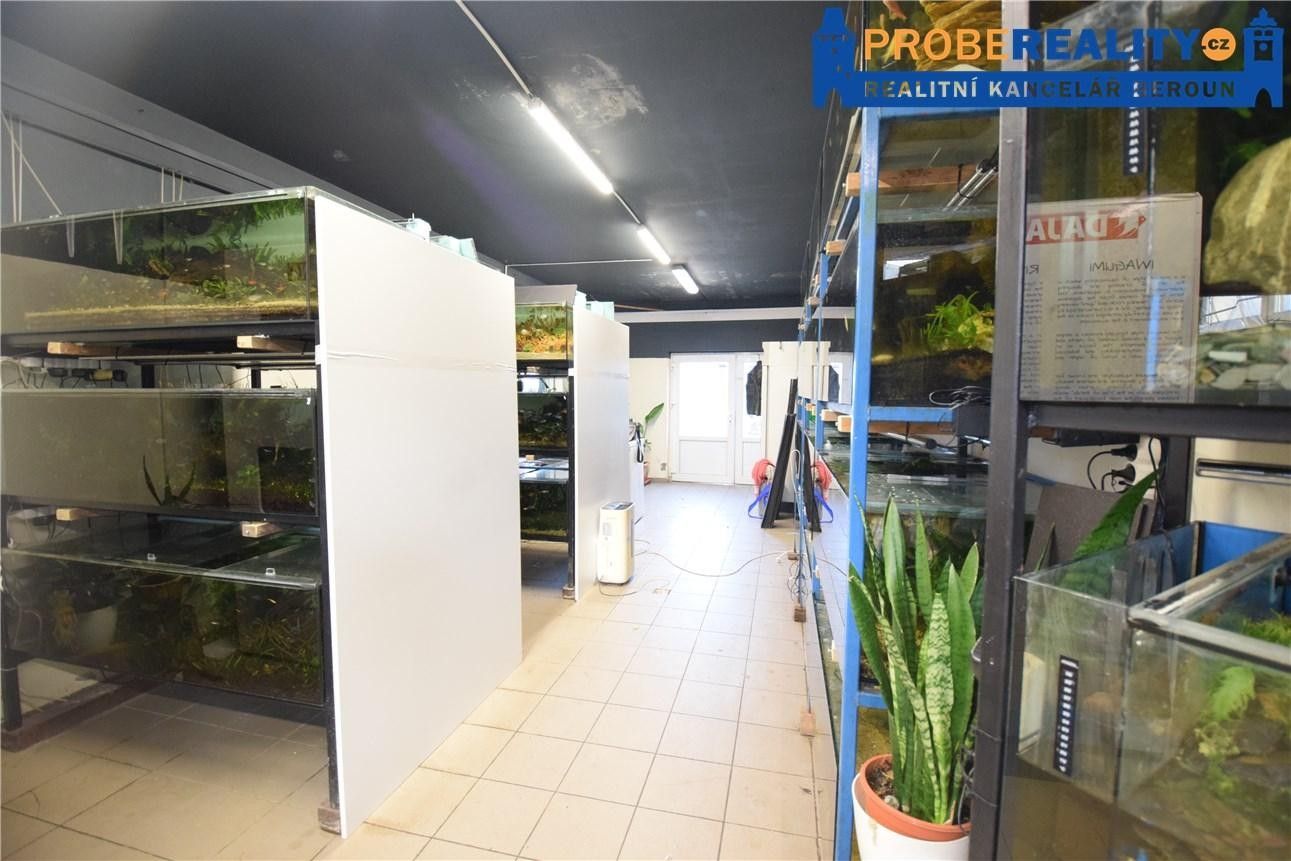 Pronájem komerčního prostoru 172 m² - foto 6