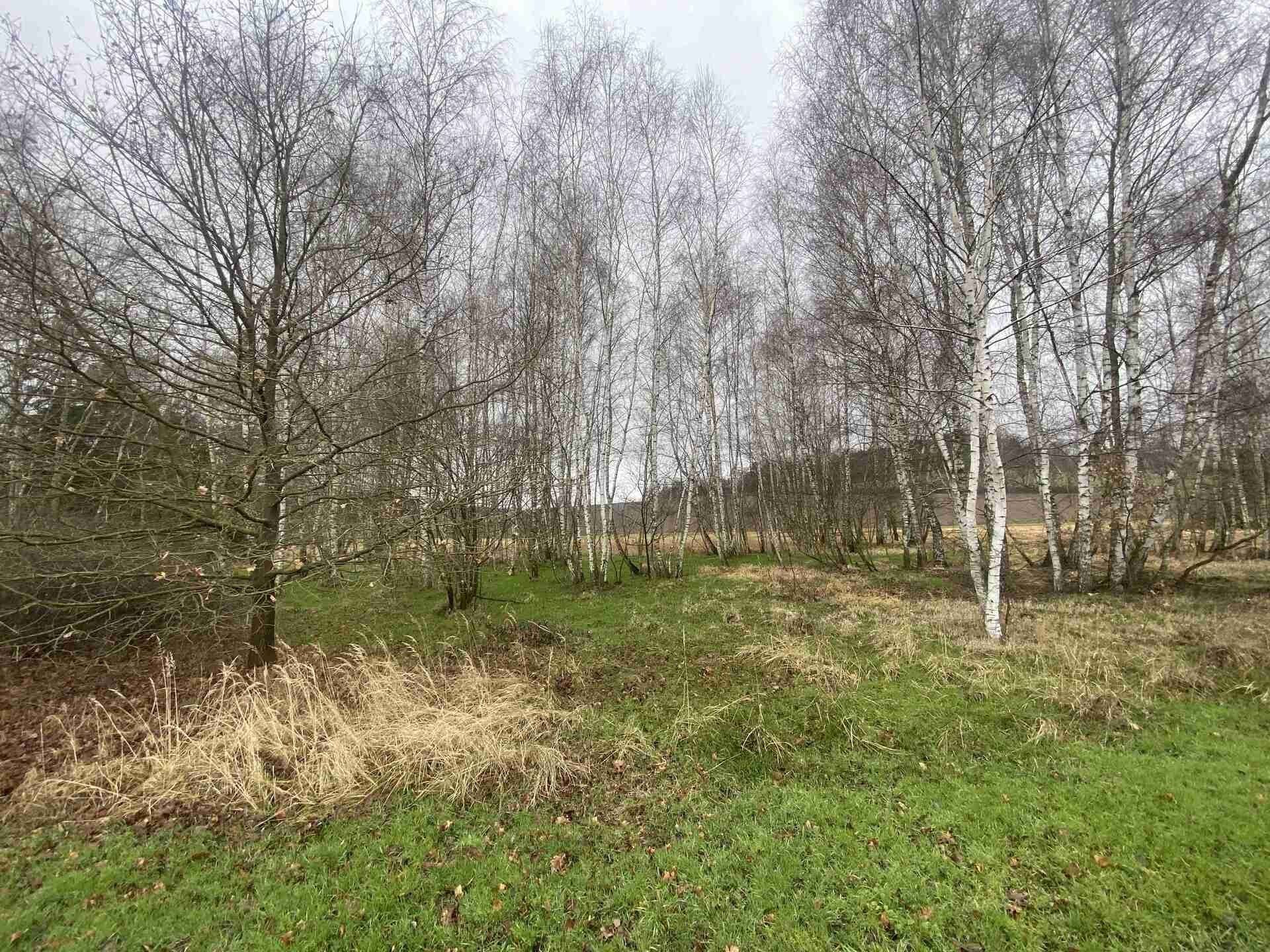 Prodej nemovitosti 10244 m² - foto 1