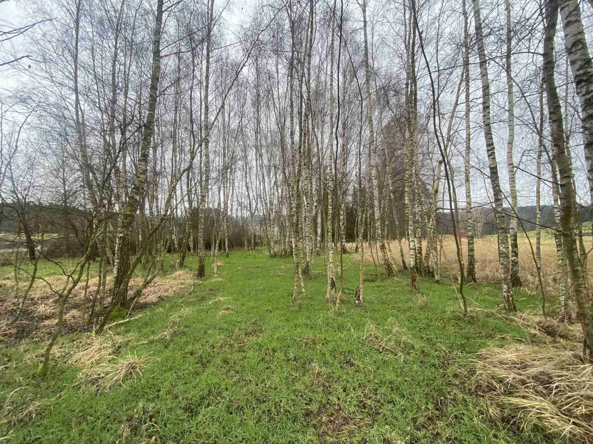 Prodej nemovitosti 10244 m² - foto 3