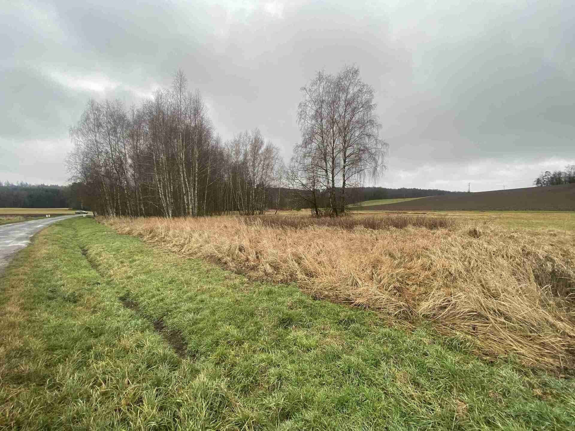 Prodej nemovitosti 10244 m² - foto 4