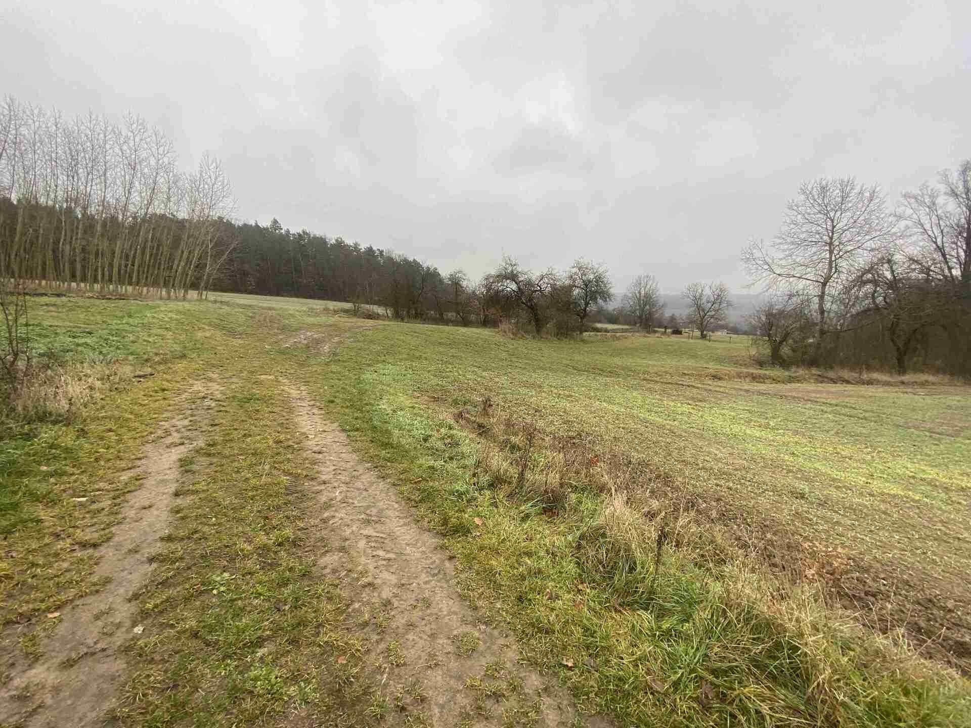 Prodej nemovitosti 10244 m² - foto 12