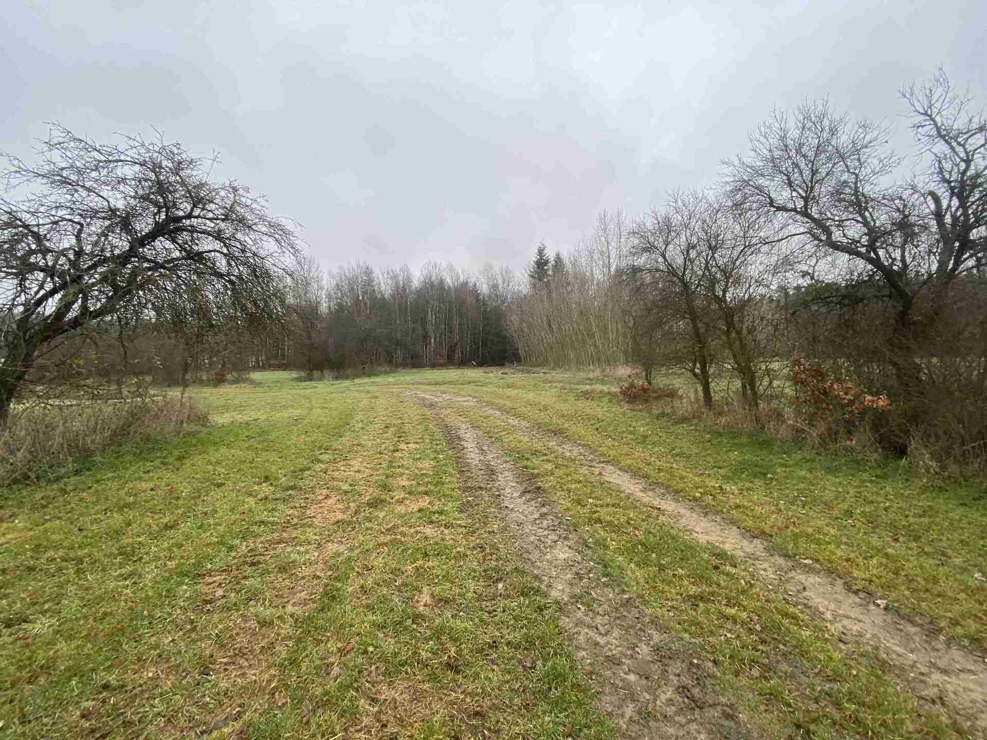 Prodej nemovitosti 10244 m² - foto 9