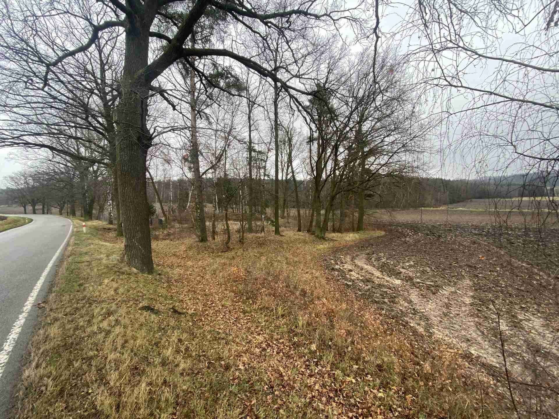 Prodej nemovitosti 10244 m² - foto 14