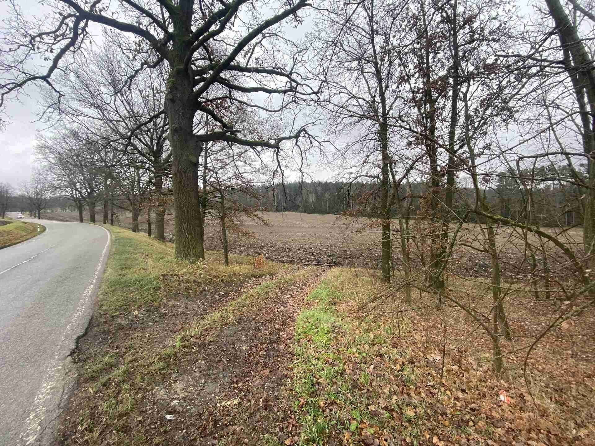 Prodej nemovitosti 10244 m² - foto 16