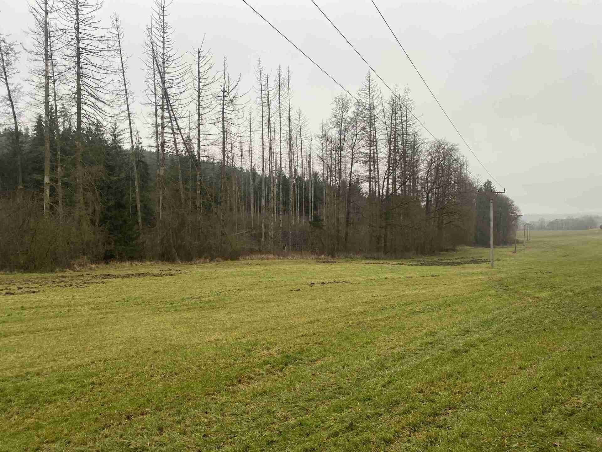 Prodej nemovitosti 10244 m² - foto 21