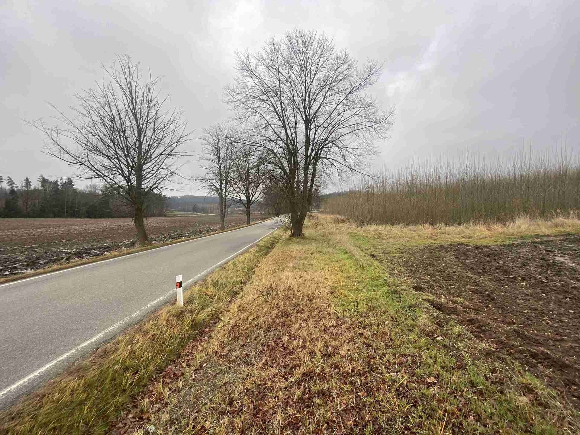 Prodej nemovitosti 10244 m² - foto 19
