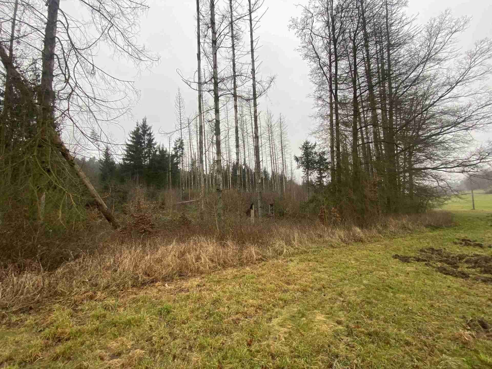 Prodej nemovitosti 10244 m² - foto 24