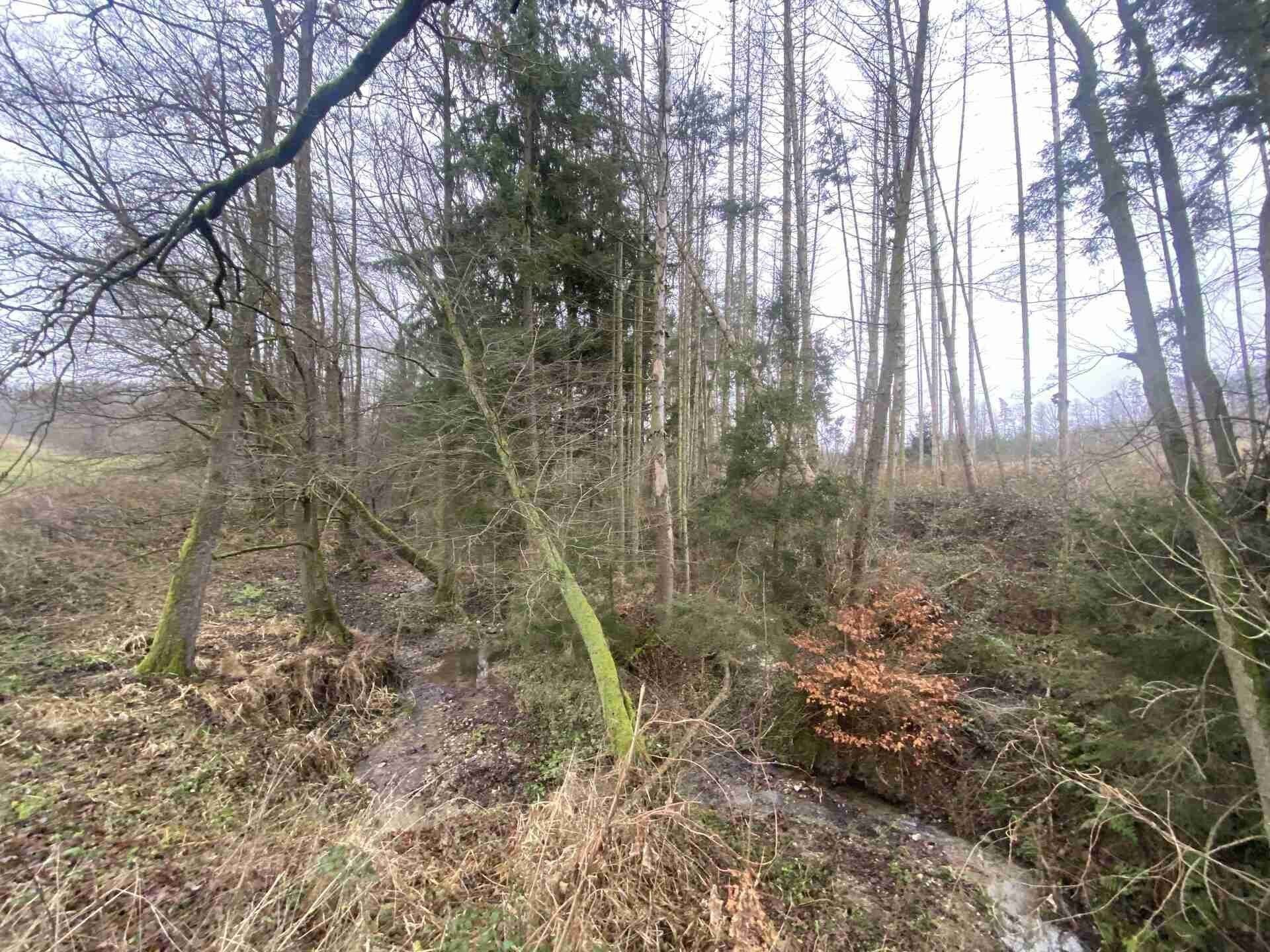Prodej nemovitosti 10244 m² - foto 23
