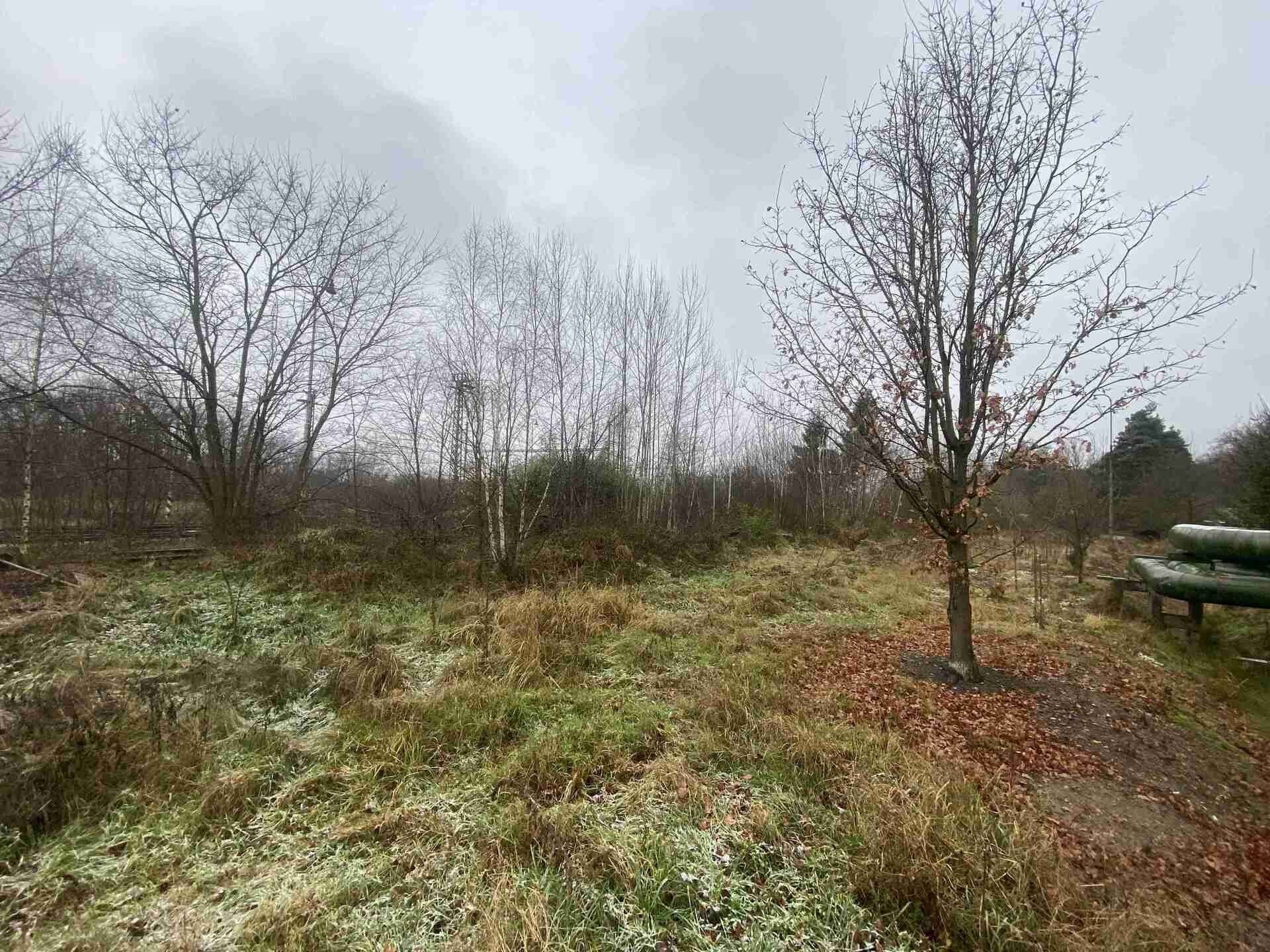 Prodej nemovitosti 311 m² - foto 2