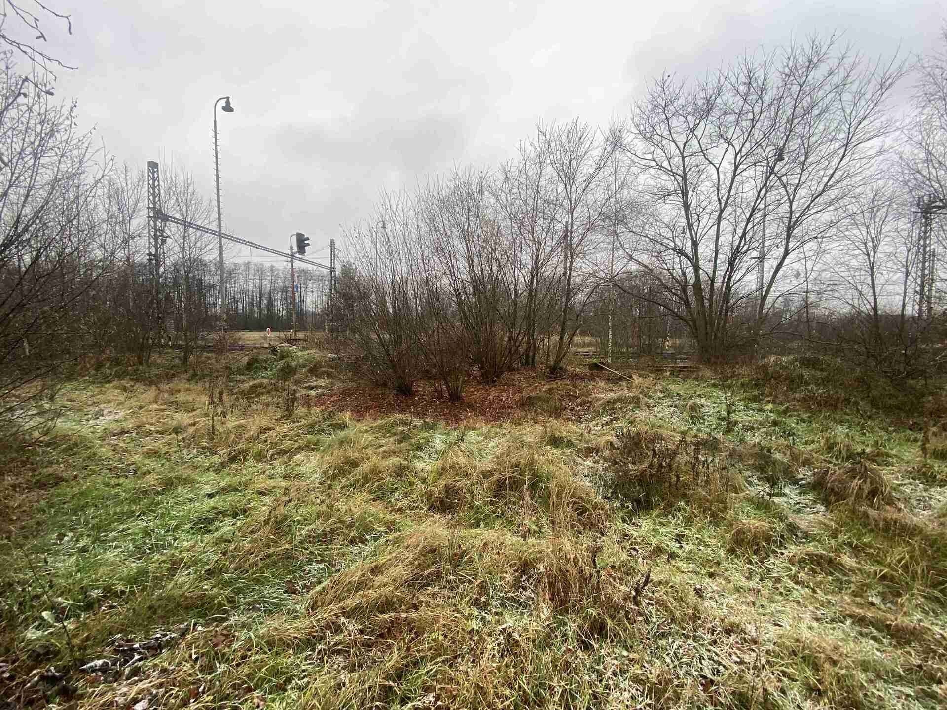 Prodej nemovitosti 311 m² - foto 4