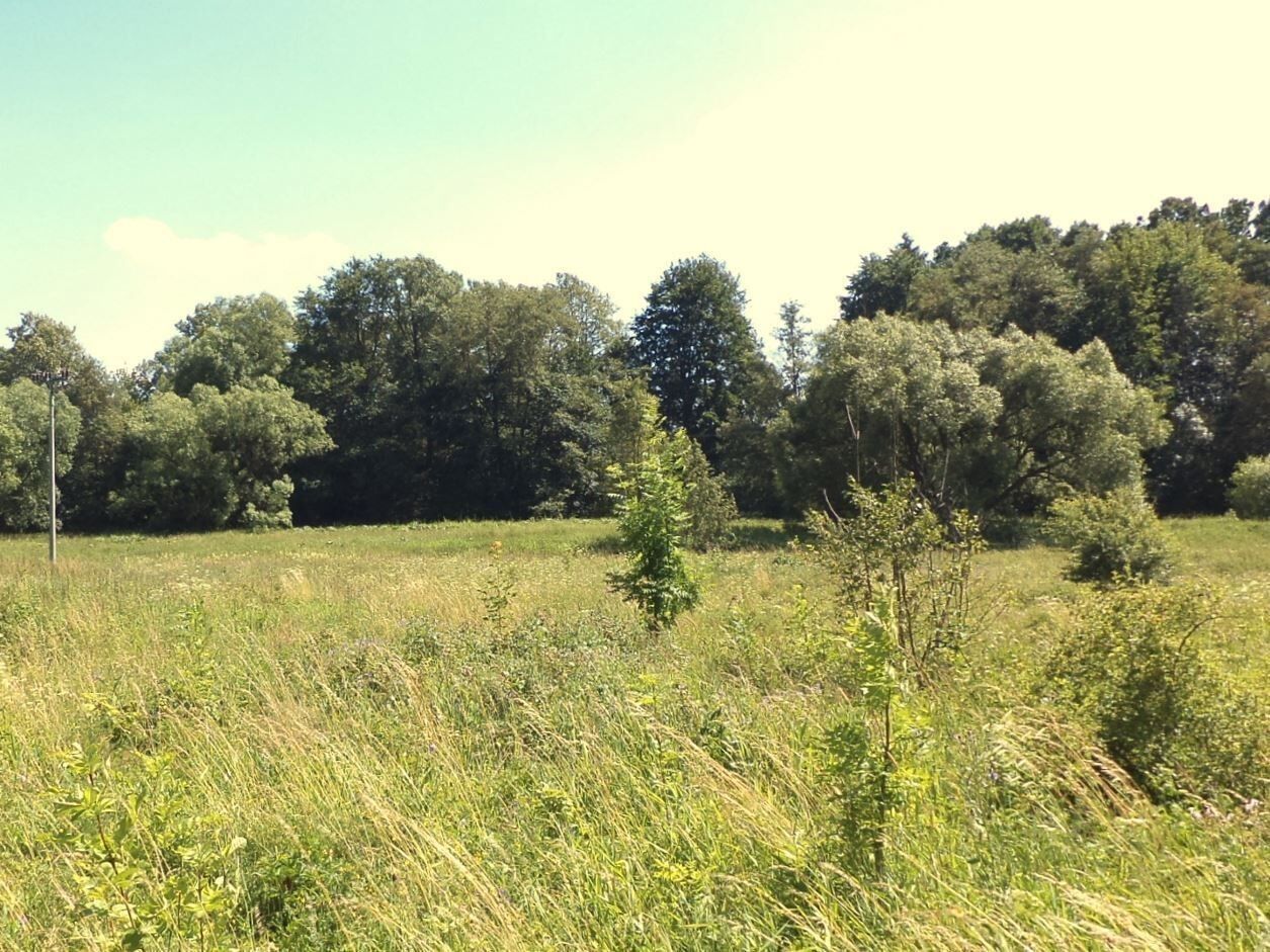 Prodej pozemku 28977 m² - foto 1