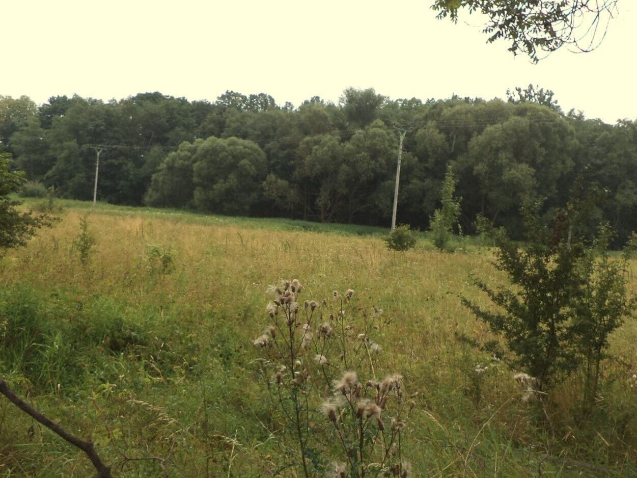 Prodej pozemku 28977 m² - foto 3