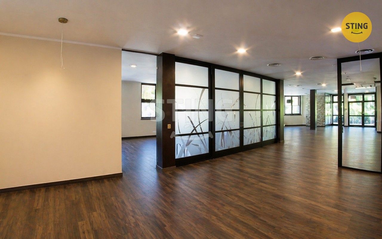 Pronájem komerčního prostoru 655 m² - foto 3