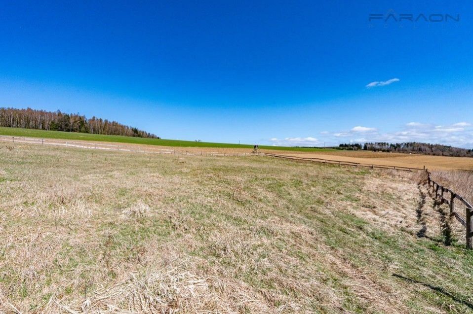 Prodej pozemku 13515 m² - foto 12
