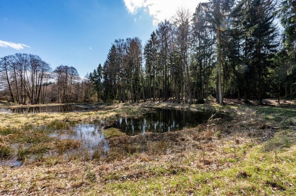 Prodej pozemku 13515 m² - foto 14