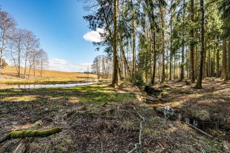 Prodej pozemku 13515 m² - foto 15