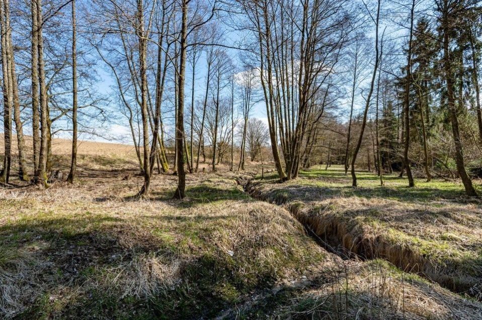 Prodej pozemku 13515 m² - foto 17