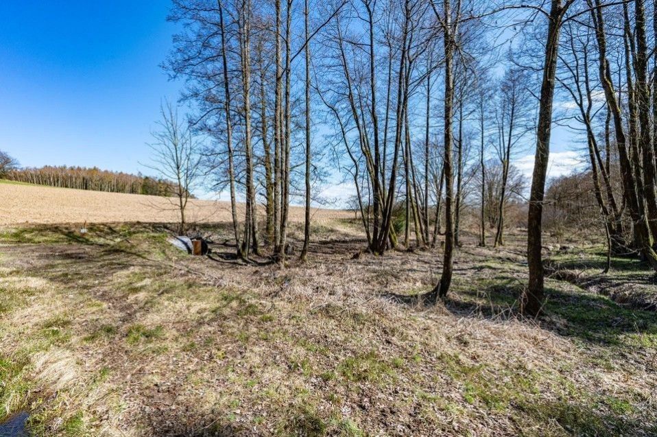 Prodej pozemku 13515 m² - foto 19